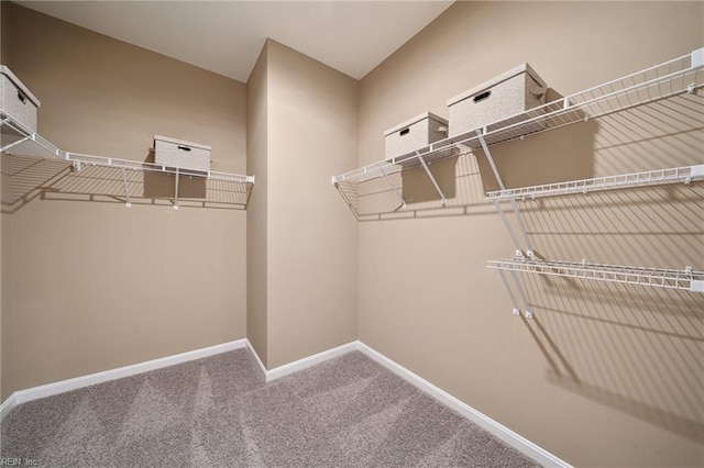 104 Genoa Dr, Elizabeth City, NC 27909 - spacious closet with carpet
