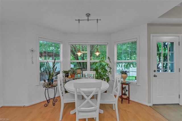 2537 Springhaven Dr, Virginia Beach, VA 23456 - dining area with healthy amount of natural light, baseboards, and light wood-type flooring