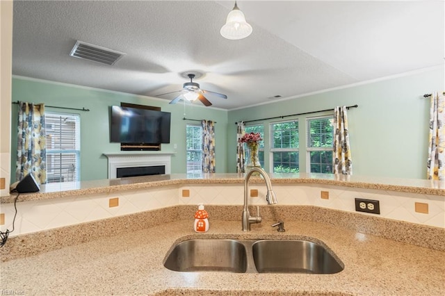 5049 Kelso St, Suffolk, VA 23435 - kitchen with a sink, a ceiling fan, decorative backsplash, ornamental molding, and a fireplace