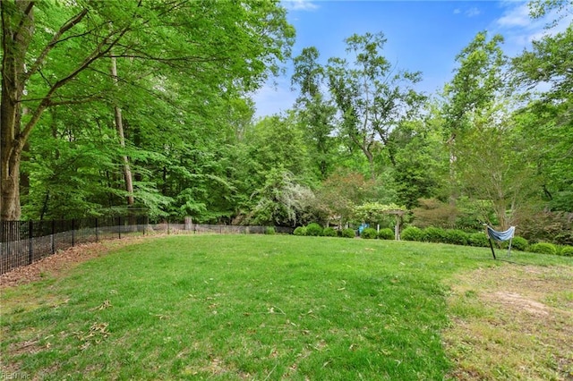 527 Lakeshead Dr, Williamsburg, VA 23185 - view of yard