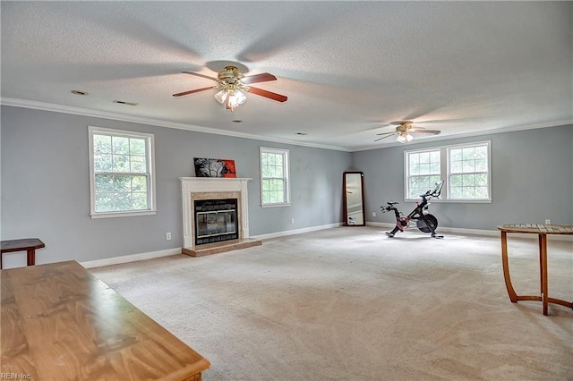 3582 Tennessee Ave, Norfolk, VA 23502 - exercise room featuring ceiling fan, healthy amount of natural light, light carpet, a textured ceiling, and crown molding