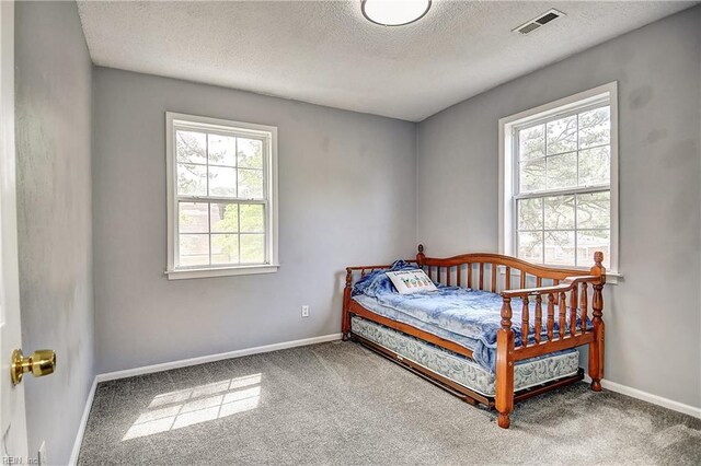 3582 Tennessee Ave, Norfolk, VA 23502 - carpeted bedroom with multiple windows, a textured ceiling, and baseboards