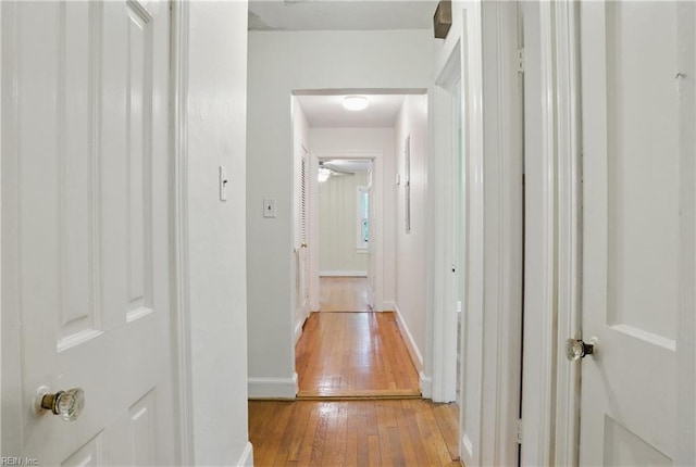 116 Sycamore Rd, Franklin, VA 23851 - hallway featuring light wood-style floors and baseboards