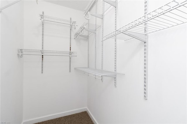25 Hunter Trce, Hampton, VA 23669 - spacious closet featuring carpet flooring