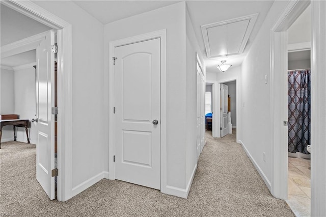 3925 Grand Isle Dr, Chesapeake, VA 23323 - corridor with attic access, light colored carpet, and baseboards