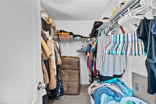 spacious closet with carpet floors