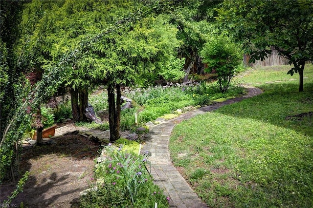 4901 Toddington Cir, Williamsburg, VA 23188 - view of yard