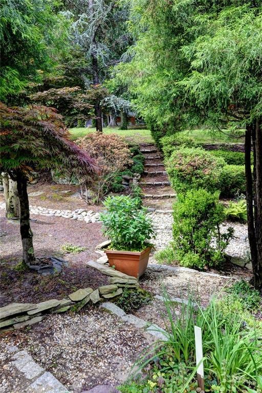 4901 Toddington Cir, Williamsburg, VA 23188 - view of yard