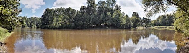 4901 Toddington Cir, Williamsburg, VA 23188 - water view featuring a forest