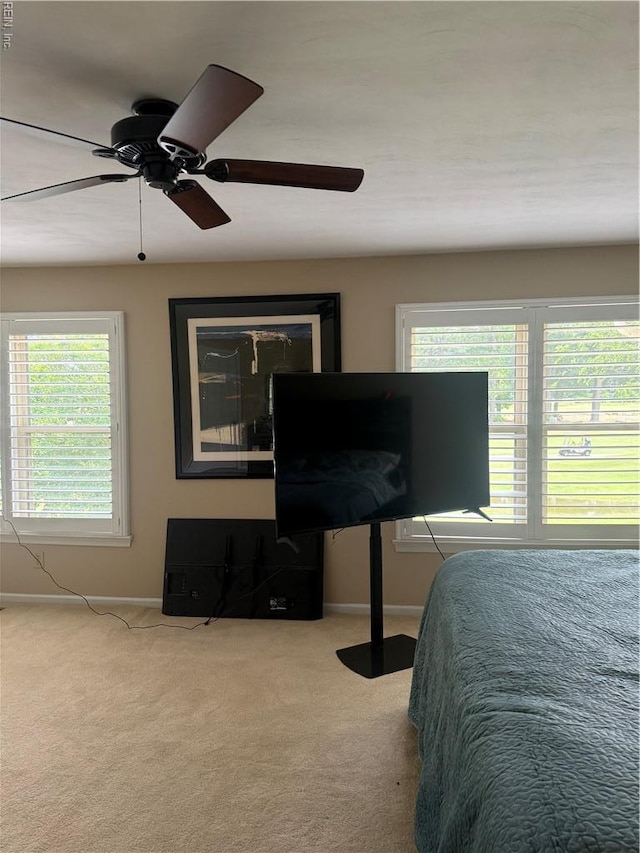4705 Kempsville Green Parkway, Virginia Beach, VA 23462 - carpeted bedroom featuring baseboards, multiple windows, and a ceiling fan