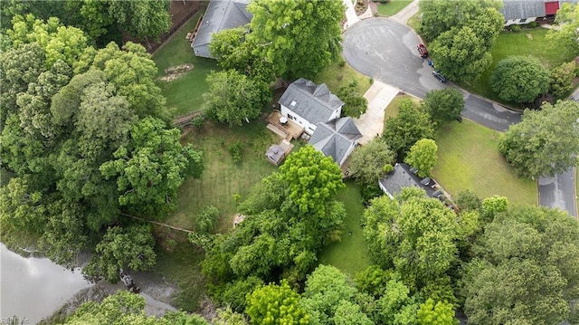 2740 Duckwood Ct, Suffolk, VA 23435 - bird's eye view