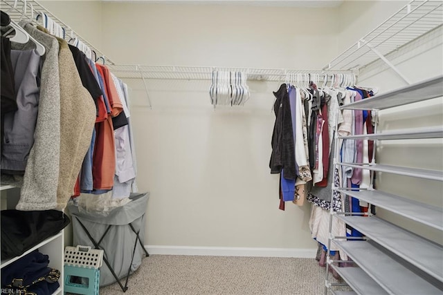 411 Rhode Island Ave, Norfolk, VA 23508 - spacious closet featuring carpet floors