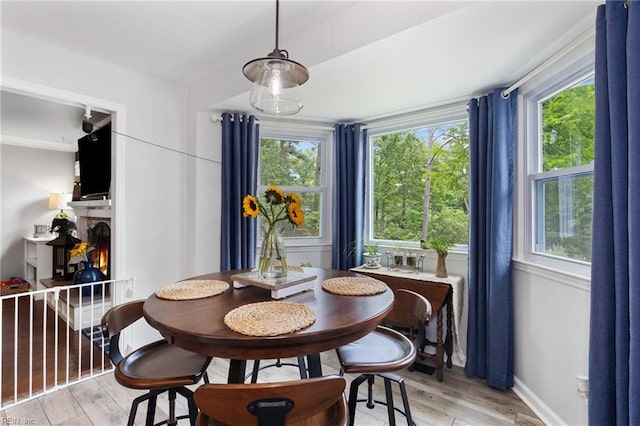 216 Stubbs Dr, Chesapeake, VA 23323 - dining space with plenty of natural light, light wood-style floors, and baseboards