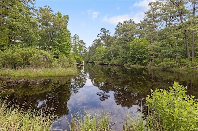 216 Stubbs Dr, Chesapeake, VA 23323 - water view with a heavily wooded area