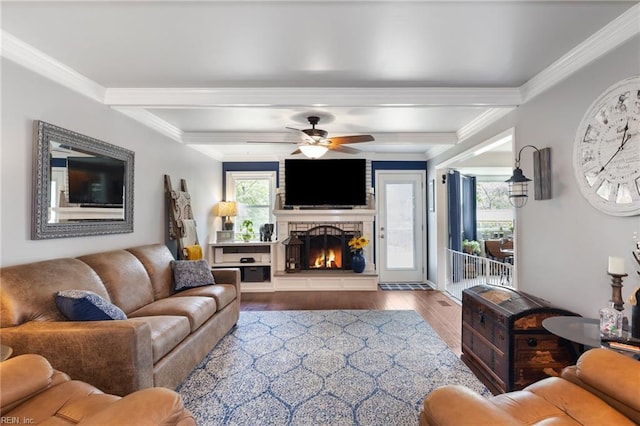 216 Stubbs Dr, Chesapeake, VA 23323 - living area with wood finished floors, a warm lit fireplace, plenty of natural light, a ceiling fan, and crown molding