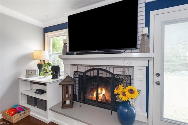 216 Stubbs Dr, Chesapeake, VA 23323 - detailed view of a lit fireplace and crown molding