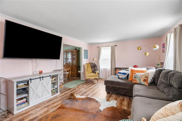 4769 Marlborough Dr, Virginia Beach, VA 23464 - living room featuring light wood finished floors and crown molding