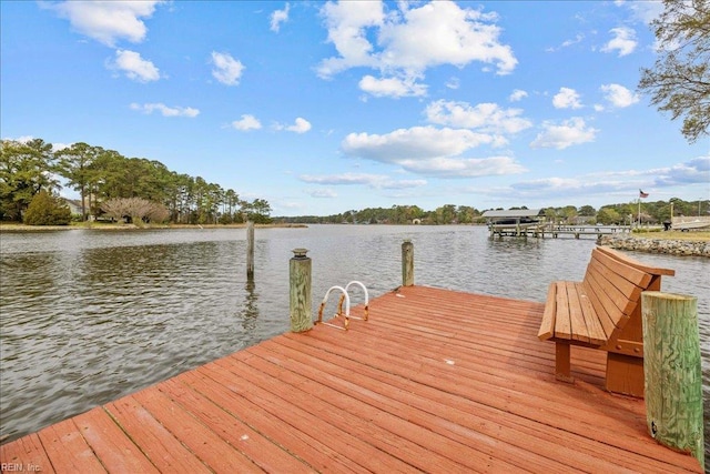 dock area with a water view