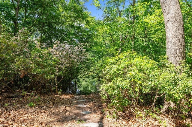 1508 Reynard Rd, Suffolk, VA 23433 - view of woods