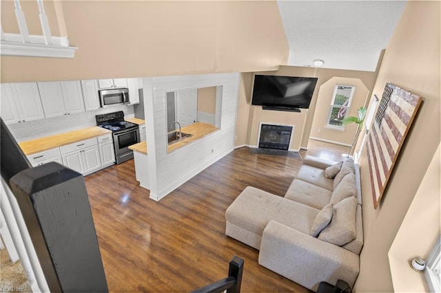 living area featuring a fireplace with flush hearth, dark wood-style floors, and baseboards