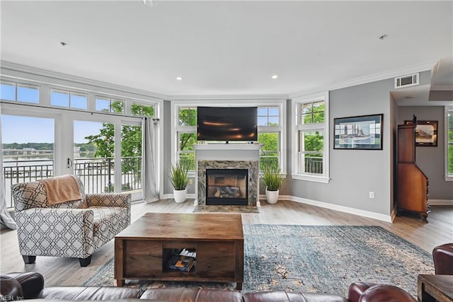 4250 Granby St Unit 106, Norfolk, VA 23504 - living area with ornamental molding, a high end fireplace, baseboards, wood finished floors, and a water view
