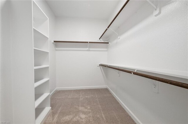 104 Pailin Creek Rd, Elizabeth City, NC 27909 - spacious closet featuring carpet floors