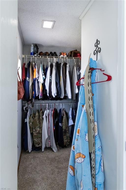 125 Messick Rd, Poquoson, VA 23662 - walk in closet featuring carpet floors