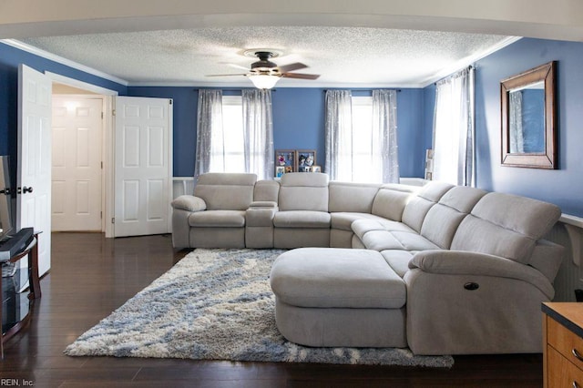 125 Messick Rd, Poquoson, VA 23662 - living room featuring a textured ceiling, healthy amount of natural light, ornamental molding, ceiling fan, and dark wood-style flooring