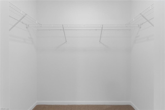 3127 Lens Ave, Norfolk, VA 23509 - walk in closet featuring carpet floors