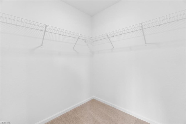 3127 Lens Ave, Norfolk, VA 23509 - spacious closet featuring carpet flooring