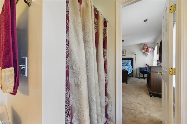 6701 Burbage Landing Cir, Suffolk, VA 23435 - view of bathroom