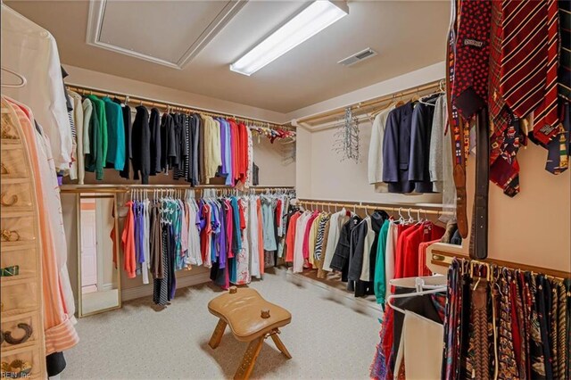 433 Croatan Rd, Virginia Beach, VA 23451 - spacious closet featuring attic access and carpet flooring