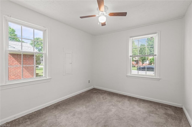 16 Warner Rd, Hampton, VA 23666 - carpeted empty room with baseboards, ceiling fan, and a textured ceiling
