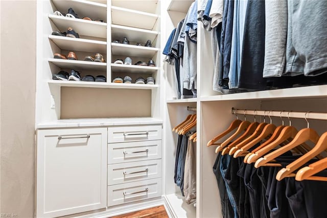 1704 Lower Church Ct, Virginia Beach, VA 23455 - view of walk in closet