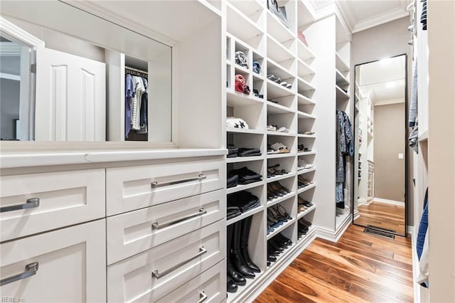 1704 Lower Church Ct, Virginia Beach, VA 23455 - walk in closet featuring light wood-type flooring