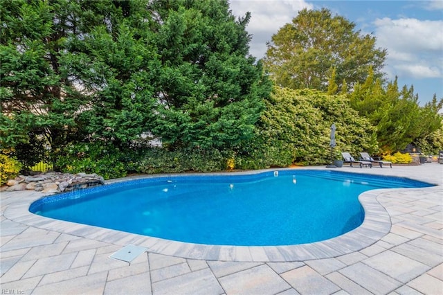 1704 Lower Church Ct, Virginia Beach, VA 23455 - outdoor pool featuring a patio