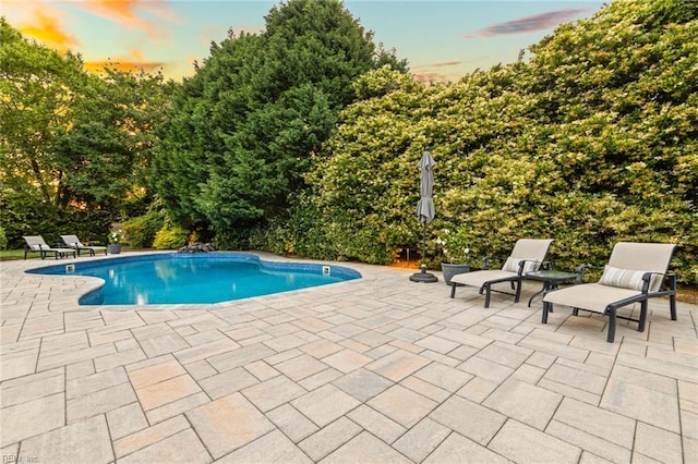 1704 Lower Church Ct, Virginia Beach, VA 23455 - swimming pool with a patio