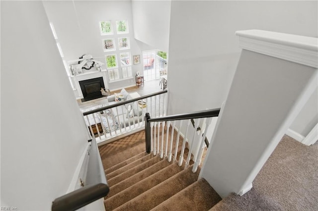 staircase with carpet, a high ceiling, and a fireplace with flush hearth