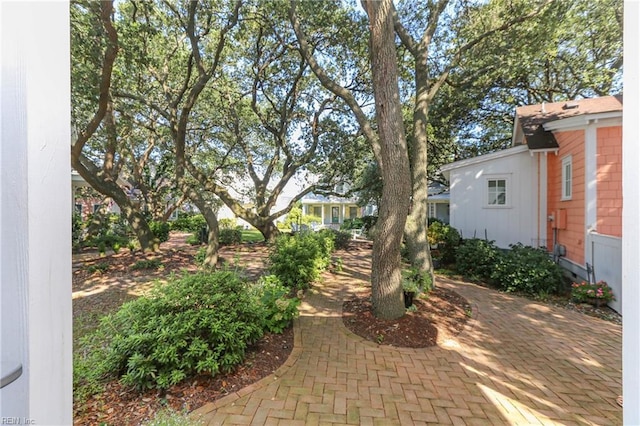 9517 24th Bay St, Norfolk, VA 23518 - view of yard with a patio area