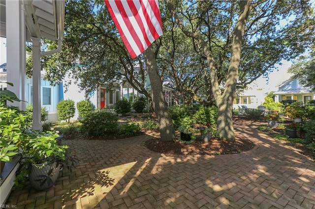 9517 24th Bay St, Norfolk, VA 23518 - view of patio