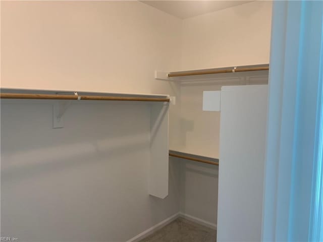 100 Corcoran Ln, Suffolk, VA 23434 - walk in closet with carpet floors