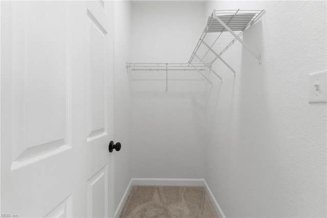 736 A Ave, Norfolk, VA 23504 - walk in closet with carpet floors