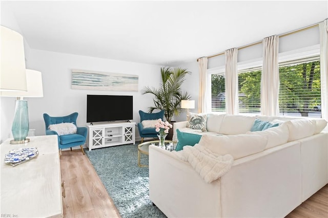 living room with light wood-style flooring