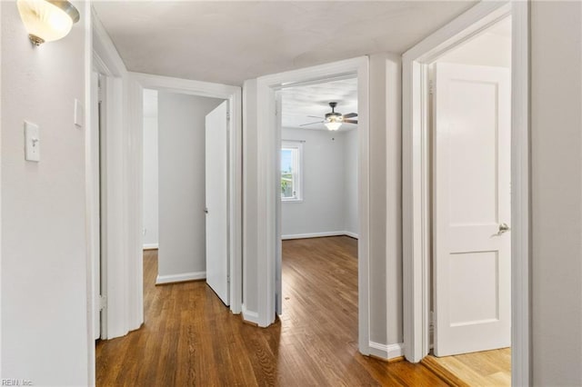 7716 Newport Ave, Norfolk, VA 23505 - hall featuring wood finished floors and baseboards