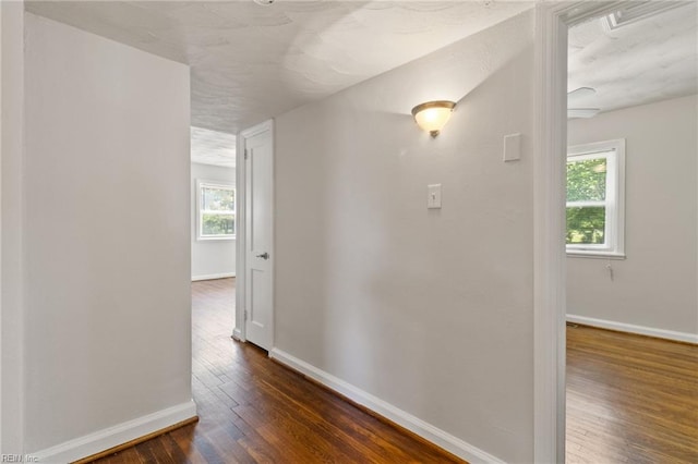 7716 Newport Ave, Norfolk, VA 23505 - corridor featuring dark wood finished floors, baseboards, and plenty of natural light