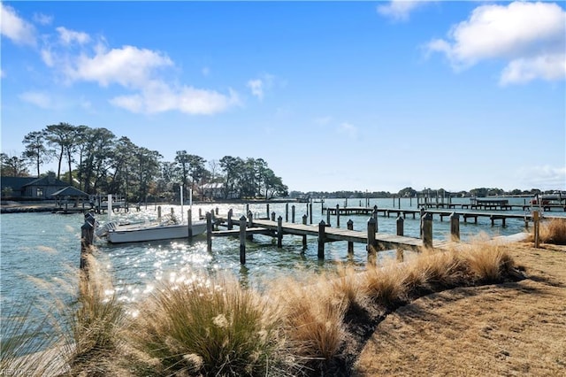 7320 Glenroie Ave Unit 8E, Norfolk, VA 23505 - dock area with a water view