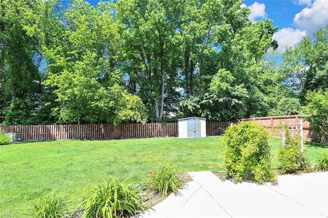 view of yard with a storage unit, an outbuilding, a patio area, and view of wooded area
