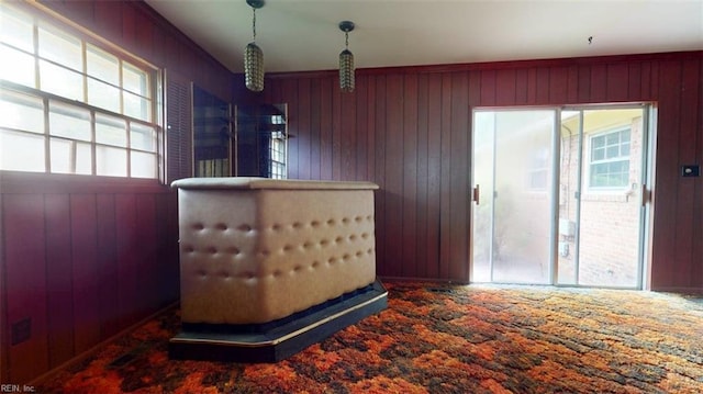 1030 Mary Peake Blvd, Hampton, VA 23666 - unfurnished room with wood walls and carpet flooring