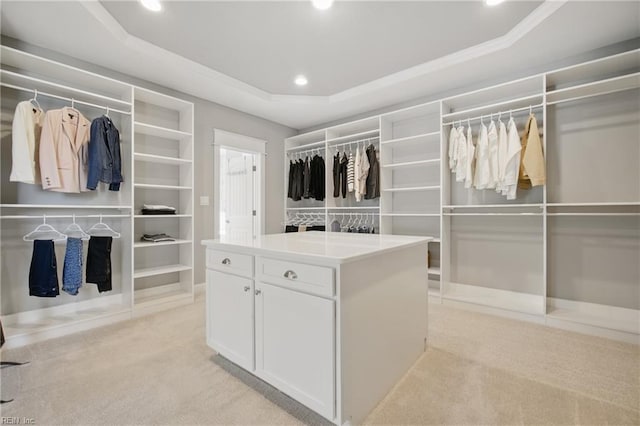 2244 Rio Rancho Dr, Virginia Beach, VA 23456 - spacious closet featuring light carpet and a tray ceiling