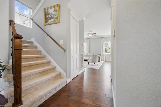 2244 Rio Rancho Dr, Virginia Beach, VA 23456 - staircase featuring wood finished floors, healthy amount of natural light, ceiling fan, baseboards, and a textured wall